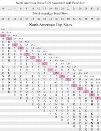 Pin On Types Of Bra Size Shape Bust Measurement Breast