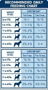 Blue Buffalo Feeding Chart World Of Reference