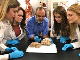 By i'mnotcertain december 14, 2010. At Millersville University Students Are Clamoring For Cadavers Whyy