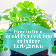 A lit aquarium with fish in it adds an air of relaxation to just about any room after dark. How To Turn An Old Fish Tank Into An Indoor Herb Garden Lia Belle