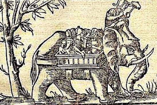 War Elephant