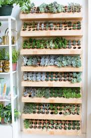 La Succulente Zen Reapprovisionnement Des Varietes Succulentes Dans Notre Magasin R En 2020 Jardin De Succulentes Cactus Et Plantes Succulentes Idees De Jardin Fleur