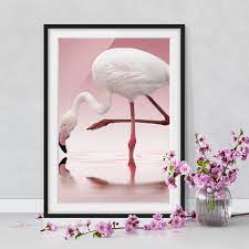 Poster Con Cornice Flamingo Dance Verticale 4 3 Stampe D Arte Arte Cornici Colorate