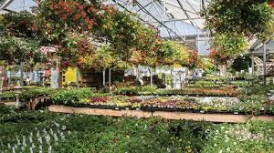 Gray's Garden Centers celebrates 80 years in business