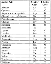 veritable amino acid chart with letters 2019