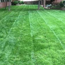 Professional care zum kleinen preis. Professional Lawn Care Okc Home Facebook