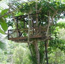 Ia lebih memilih mengenakan pakaian dan mempersiapkan segala. S A On Twitter Zaman Kanak Kanak Sape Yg Berangan Nk Buat Pangkin Atas Pokok Tapi Sampai Sekarang Tak Pernah Jadi Haha Kita Geng Https T Co Udhwdurito