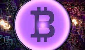 I do not think it means what you think it means. Bitcoin And Crypto Outperforming Everything Else On Earth Making Other Investments Look Pointless Macro Guru Raoul Pal The Daily Hodl