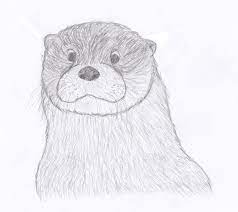 Pin On Squee Lightful Otters Seals
