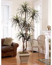 6 Dracaena Silk Tree Tree House Decor Natural Home Decor Artificial Trees Decor