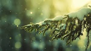 48 Christmas Wallpaper Tumblr On Wallpapersafari