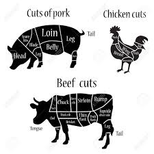 vector illustration chicken cow and pork cuts diagramm or chart