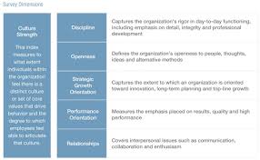 Assessing Culture And Cultural Fit Capabilities And Case
