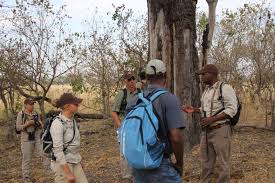 Maybe you would like to learn more about one of these? Safari Botswana Expedition Okavango Delta Natucate