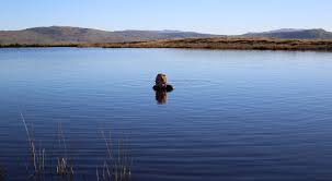 How Cold Water Feels Outdoor Swimming Society Outdoor