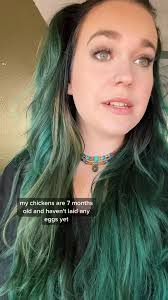 Facebook chicken group chronicles. This is part 3 I posted over two years  ago so I had to bring it back again. #chickens #chickensofinstagram  #chickenlady #backyardchickens #homestead #homesteading #farm #farming  #farmanimals