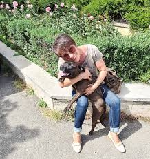 A înființat departamentul de cercetare în neuroștiințe al spitalului clinic bagdasar arseni a condus și a fost implicat în aproape 20 proiecte de cercetare naționale și internaționale. Operatie Pe Creier Prof Dr Ciurea Neurochirurgie Sanador