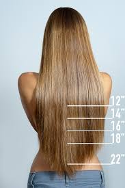 This allows you to trim the ends without. Hair Length Chart