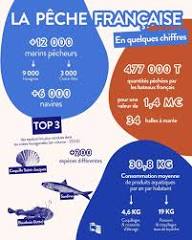 Comité - 🎣 La #pêche française en chiffres En France, on consomme en moyenne 31 kg par habitant chaque année, dont 19 kg de poissons et crustacés issus de la pêche 🐟