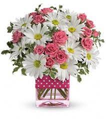 Frontier resumes their summer seasonal raleigh/durham service starting june 11. Portland Me Florist Same Day Flower Delivery In Portland Me Dodge The Florist Inc