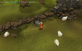 And will be going over the basics. King Black Dragon Hunting Runescape Guide Runehq