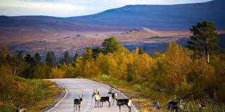 Nos séjours pas cher finlande. Ou Partir En Finlande Conseils Voyage Finlande