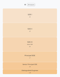 Career paths in the it industry can be broadly classified into the two main fields of hardware and software. What Are The Different Levels Of Software Engineers At Amazon Com Quora