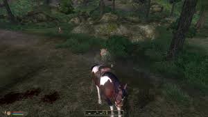 The elder scrolls iv oblivion