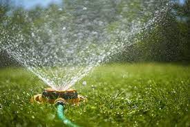 How to water your lawn wisely. Here S How To Be Water Wise In The Garden During A Heatwave