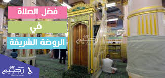 فضل الصلاة في الروضة الشريفة..كم تعادل الصلاة في المسجد النبوي - مجلة رجيم