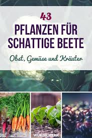 43 Krauter Obst Und Gemusepflanzen Die Auch Im Schatten Wachsen Wurzelwerk Schattengarten Gemusepflanze Pflanzen Schatten