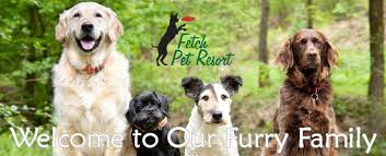 Fetch pet resort treats every pet like our own! Fetch Pet Resort Home Facebook