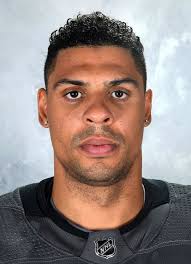 Ryan Reaves Hockey Stats and Profile at hockeydb.com