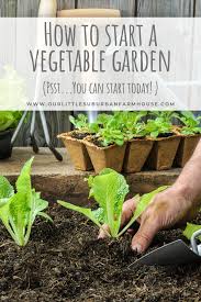What kind of soil for vegetable garden. How To Start A Vegetable Garden Our Little Suburban Farmhouse