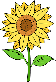 See more ideas about drawings, easy flower drawings, easy drawings. Drawing Simple Sunflower Yellow Flower Drawing