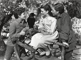 The Secret Garden Classic Movies Classic Films Secret Garden