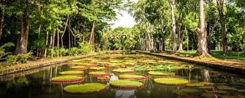 Que Faire A L Ile Maurice Top 20 Des Lieux A Voir Et Visiter Voyage Tips Ile Maurice Ile Maurice Voyage Ile Aux Cerfs