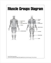 Collectively, they constitute 40% to 50% of our body weight. Muscle Chart 7 Free Pdf Documents Download Free Premium Templates