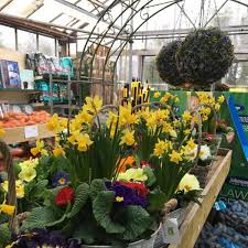 How to open a garden centre. The Gloucestershire Garden Centres Now Open Gloucestershire Live