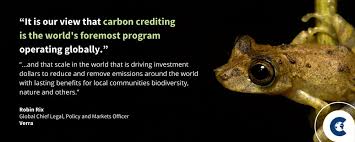 Welcome to ClimateTalks: Let's Meet Verra