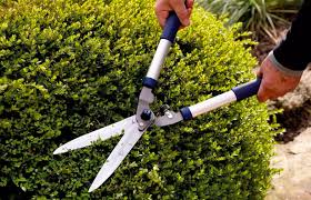 Long handled gardening grass edge border edging lawn shears cutter. Best Garden Shears For A Perfectly Pruned Garden Mirror Online