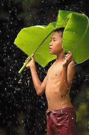 Kemarin (semalam bagi semenanjung) ada visit dari sinoh environmental. Bagaikan Katak Dibawah Tempurung Like A Frog Under The Shell Steemit
