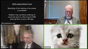Yesterday, rod was just a normal attorney from texas. Texas Attorney Uses Cat Zoom Filter In Virtual Court Appearance Wfaa Com