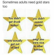 Sometimes Adults Need Gold Stars Too Gold Stars Funny Images Haha Meme
