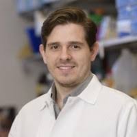 Rodrigo Armando Elizalde Romero Email & Phone Number