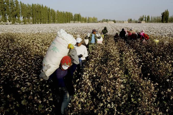 US Slams the Door on Three Chinese Gene-Testing Giants Over Alleged Uyghur Forced Labor