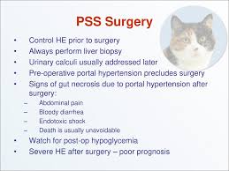 A wide variety of cat eyes eyeglasses options are available to you. Practical Internal Medicine Ppt Download
