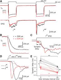 Top picks related reviews newsletter. How To Build A Fast And Highly Sensitive Sound Detector That Remains Robust To Temperature Shifts Journal Of Neuroscience
