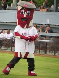 Luther Williams Field Macon Bacon Stadium Journey