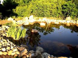 A lot of diy fish pond builders are successful, but many soon realize that it takes a fair amount of expertise to successfully build and maintain a koi pond. Pond Pumps Are Not Required In Man Made Ponds